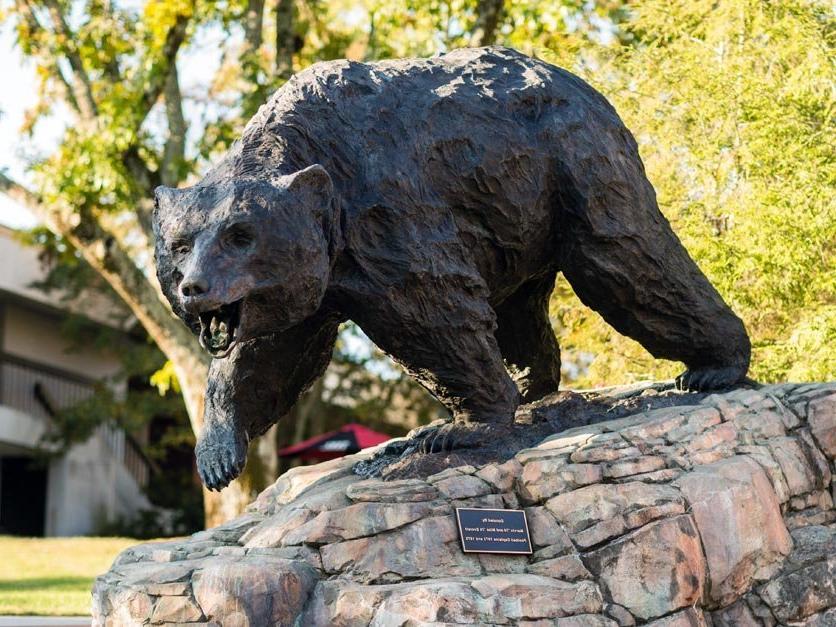 Charge Bear Statue